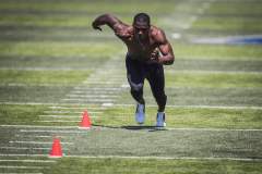 FLA-Sports-Gallery-1